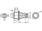 Preview: Druckschalter Raster R1710 0,5A/230V SPDT Velleman